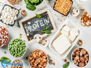 منابع غذایی پروتئین