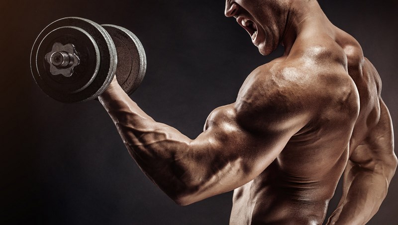 افزایش حجم و هایپرتروفی عضلات در بدنسازی با سوپرست