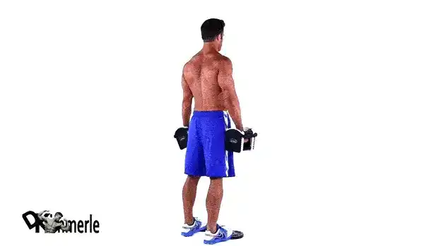 تمرین ساق پا ایستاده با دمبل، بهترین حرکت برای ساق پا بدون دستگاه سنگین