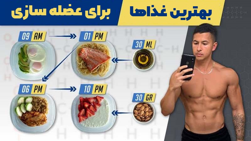 بهترین غذاها برای عضله سازی و افزایش حجم در بدنسازی