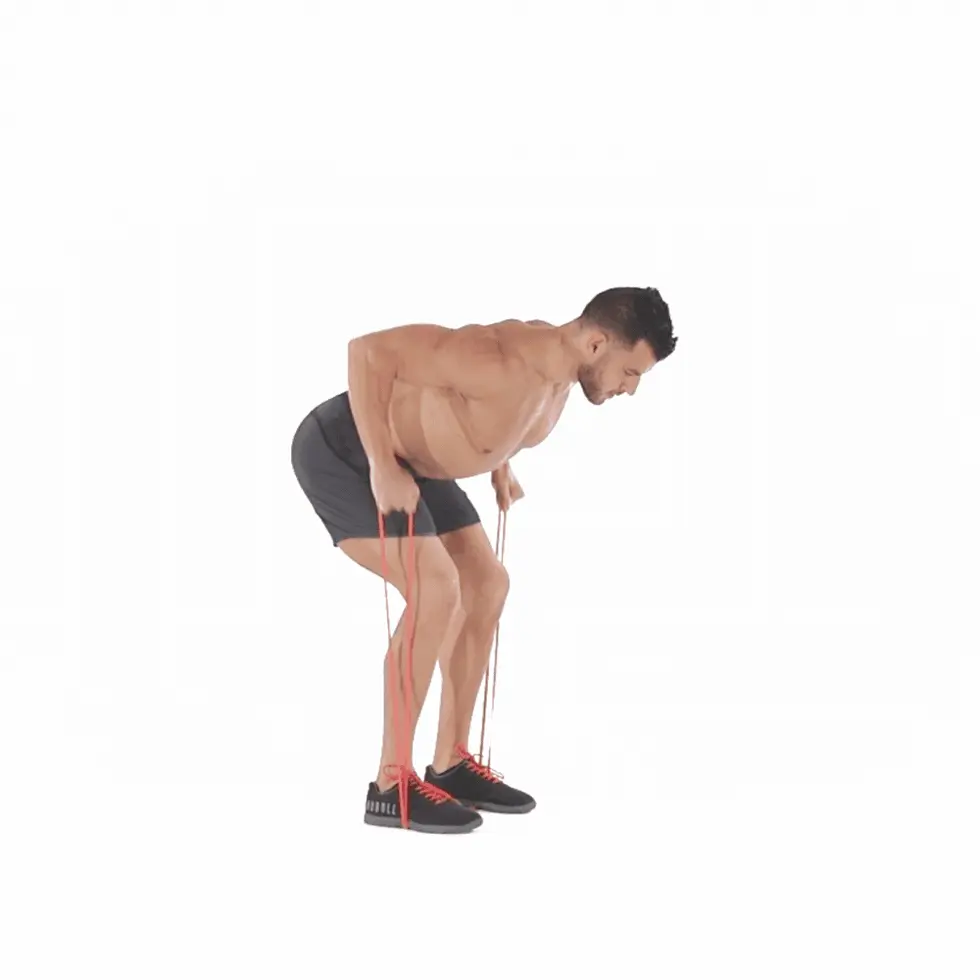 زیر بغل خم با کش (Bent Over Row)